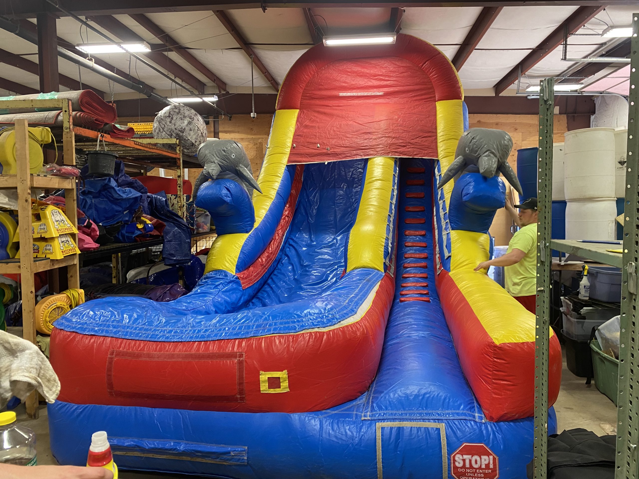 Dolphin Water Slide scaled